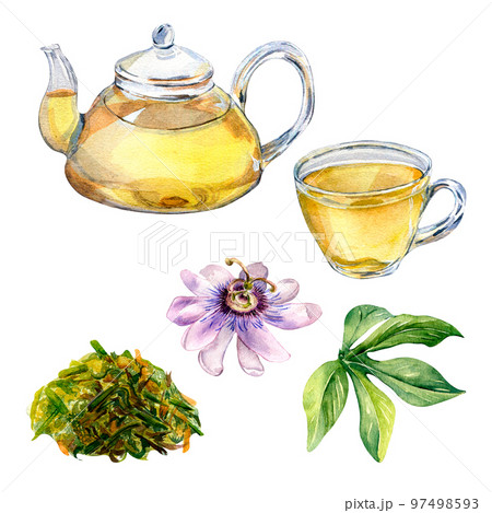 Set of glass teapot and cup, passion flower, stem watercolor illustration isolated on white. 97498593