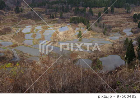 星峠の棚田 星峠の棚田 97500485