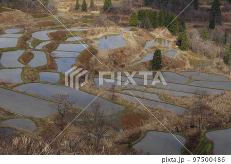 星峠の棚田 97500486