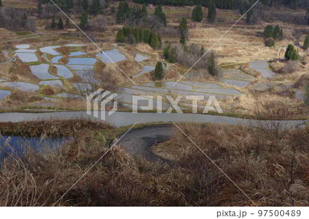 星峠の棚田 97500489
