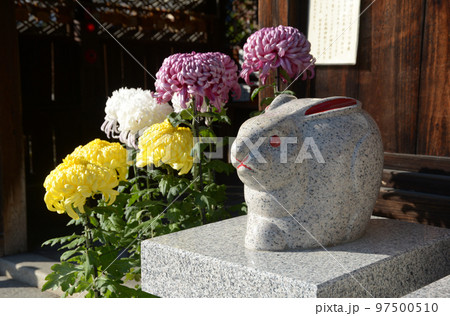 三尾神社 うさぎの像 滋賀県大津市園城寺町 三尾神社 うさぎの像 滋賀県大津市園城寺町 97500510