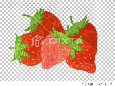 盛り付けイチゴの水彩イラスト 97501086