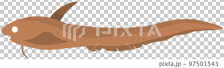 シャチブリ 97501543