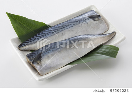 塩サバ 97503028