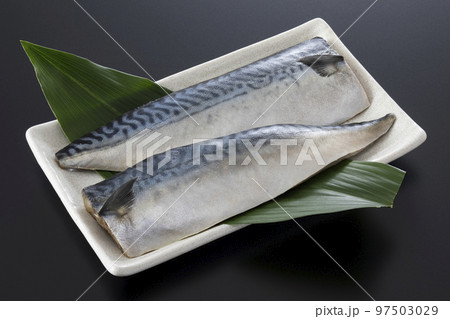 塩サバ 塩サバ 97503029