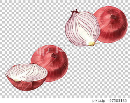 Shallots Watercolor Clipart, Watercolor, Vegetable, Hand Drawn PNG  Transparent Image and Clipart for Free Download