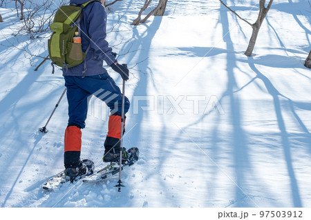 スノーシュートレッキングのイメージ　大山鏡ヶ成   97503912