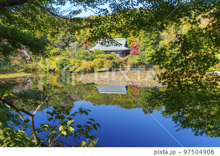 紅葉の龍安寺 鏡容池 大珠院 リフレクション 紅葉の龍安寺 鏡容池 大珠院 リフレクション 97504906