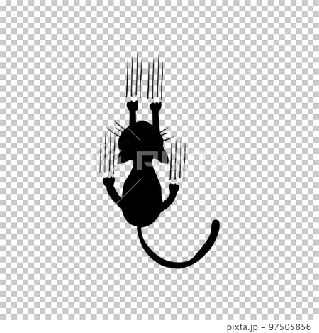 Black cat's silhouette. Black cat's silhouette. 97505856