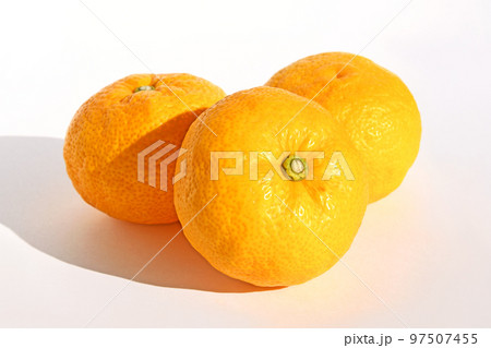 ユズ（柚子） 97507455