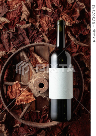 Bottle of red wine and dried-up vine leaves. Bottle of red wine and dried-up vine leaves. 97507543