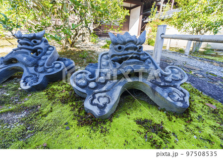 等持院　苔床に鬼瓦（京都市北区等持院北町） 97508535