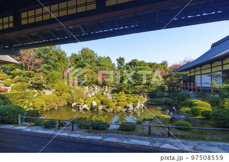 京都・等持院　美しい日本庭園　芙蓉池 (西庭)　紅葉の季節 97508559