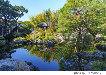 京都・等持院　美しい日本庭園　芙蓉池 (西庭)　紅葉の季節 97508570