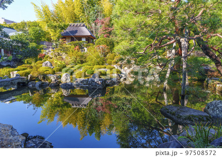 京都・等持院 美しい日本庭園 芙蓉池 (西庭) 紅葉の季節 京都・等持院 美しい日本庭園 芙蓉池 (西庭) 紅葉の季節 97508572