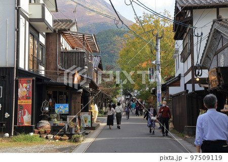 秋の湯の坪街道と由布岳 97509119