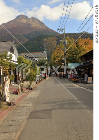秋の湯の坪街道と由布岳 97509136