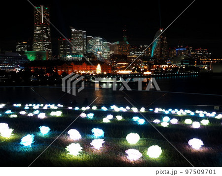 横浜大桟橋　光のローズガーデンから赤レンガ倉庫クリスマスマーケット　ヨルノヨ　ライトアップ　12月 97509701
