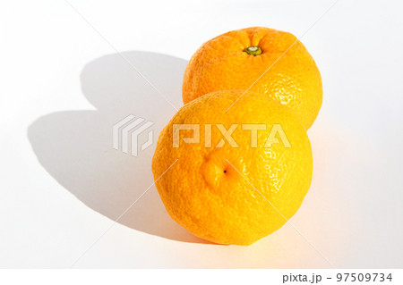 ユズ（柚子） 97509734