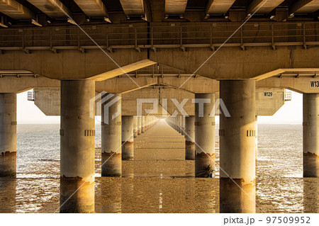 仁川大橋 大橋 足 97509952