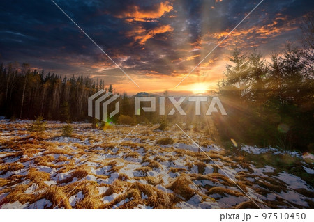 Mountain forest landscape in the morning with fog in the summer season. National park in the Carpathian mountains with fog and humidity. Ukraine. 97510450