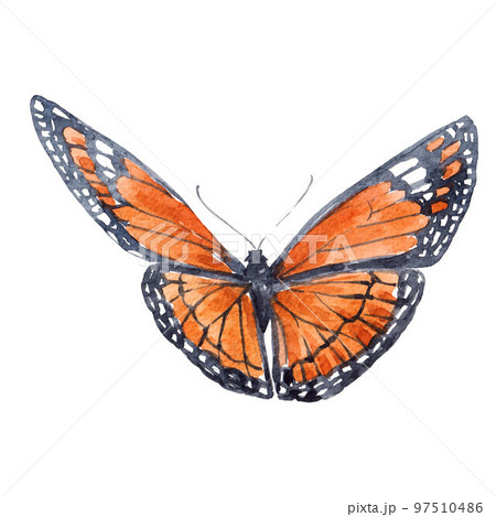 Beautiful clip art image with cute watercolor butterflies. Stock illustration. 97510486