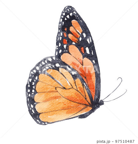 Beautiful clip art image with cute watercolor butterflies. Stock illustration. 97510487