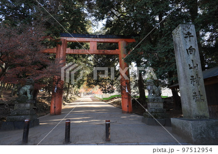 手向山八幡宮鳥居と参道 手向山八幡宮鳥居と参道 97512954