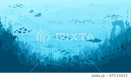 Underwater landscape. Manta and shark, seaweeds and corals, fish shoal silhouettes on ocean bottom. Vector background with sea vegetation and animals. Water life, Aquatic biodiversity, marine life 97513025
