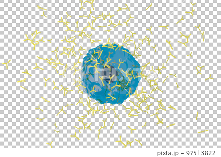 Image of plasma cells producing antibodies 97513822