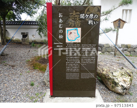 大垣城にある「おあむの松」の説明看板（岐阜県大垣市）2022年10月 97513843