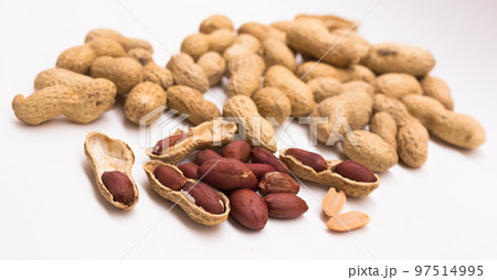 peanut kernels on a white background peanut kernels on a white background 97514995