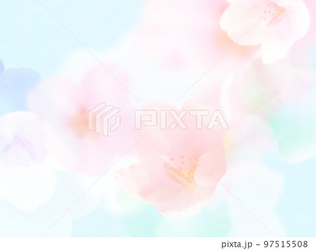 ほわほわで爽やかな桜の素材 ほわほわで爽やかな桜の素材 97515508