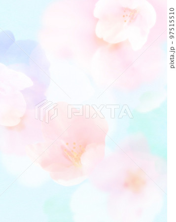 ほわほわで爽やかな桜の素材 97515510