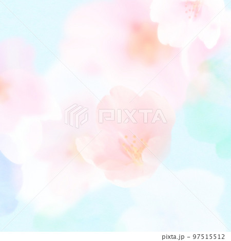 ほわほわで爽やかな桜の素材 97515512