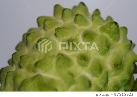 チャンパ 食べ物 食物 97515922