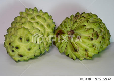 チャンパ 食べ物 食物 97515932