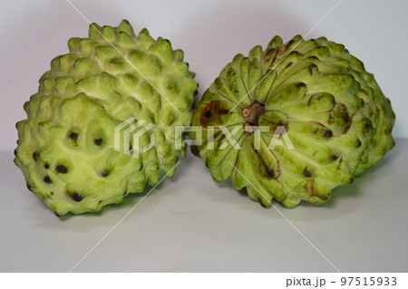 チャンパ 食べ物 食物 97515933