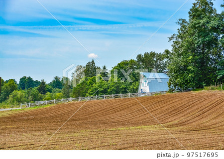 Agriculture field before sowing season. Plowed farm field Agriculture field before sowing season. Plowed farm field 97517695