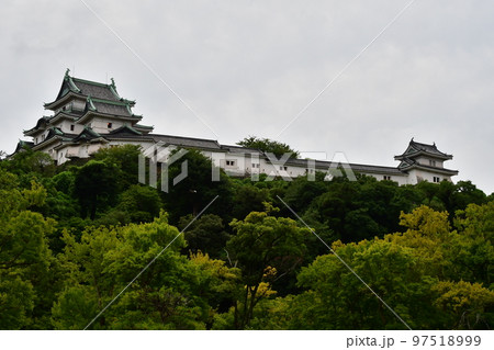 和歌山城064 97518999