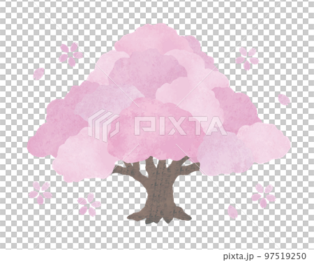 Large cherry tree watercolor 2 Large cherry tree watercolor 2 97519250