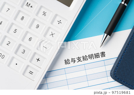 給与明細書 97519681