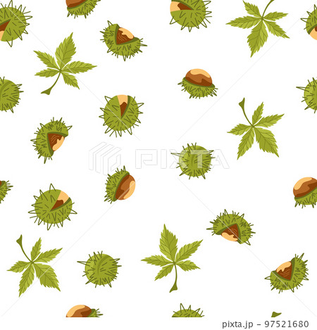 Chestnut seamless pattern. chestnut tree leaves, fruits, seeds. Autumn. Horse chestnut background. Perfect for texture for fabric, textile, wrapping paper, wallpaper. Vector 97521680