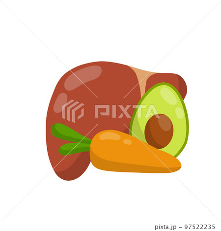 Healthy liver. Human organ. Good nutrition and diet. Cartoon flat illustration. Healthy Vegetables and fruits - carrots and avocados 97522235