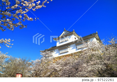 【岡山県】快晴下の津山城の満開桜(備中櫓) 【岡山県】快晴下の津山城の満開桜(備中櫓) 97522261