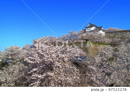 【岡山県】快晴下の津山城の満開桜（備中櫓） 97522276