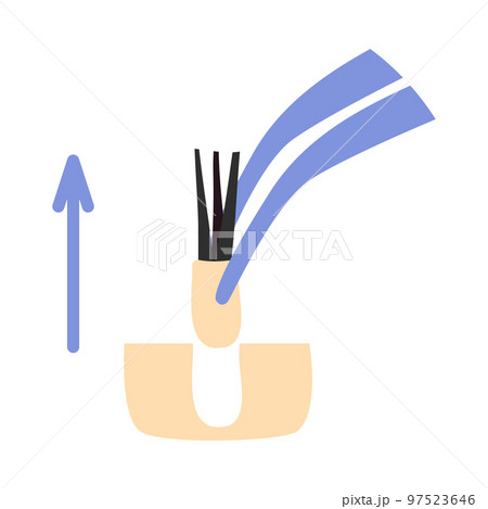 Surgical forceps for hair transplant treatment icon 97523646