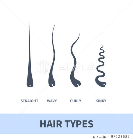 Detailed hair types chart set of strands growth  97523685