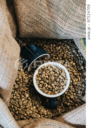 Green coffee grain in a burlap sack Green coffee grain in a burlap sack 97524709