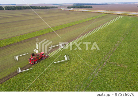 Autonomous harvester on the sugar beet field.  97526076